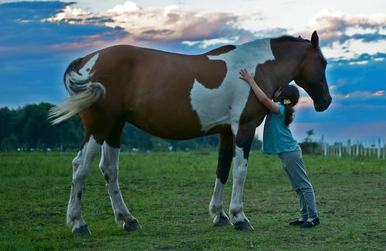 Pourquoi partir à cheval en randonnée ?