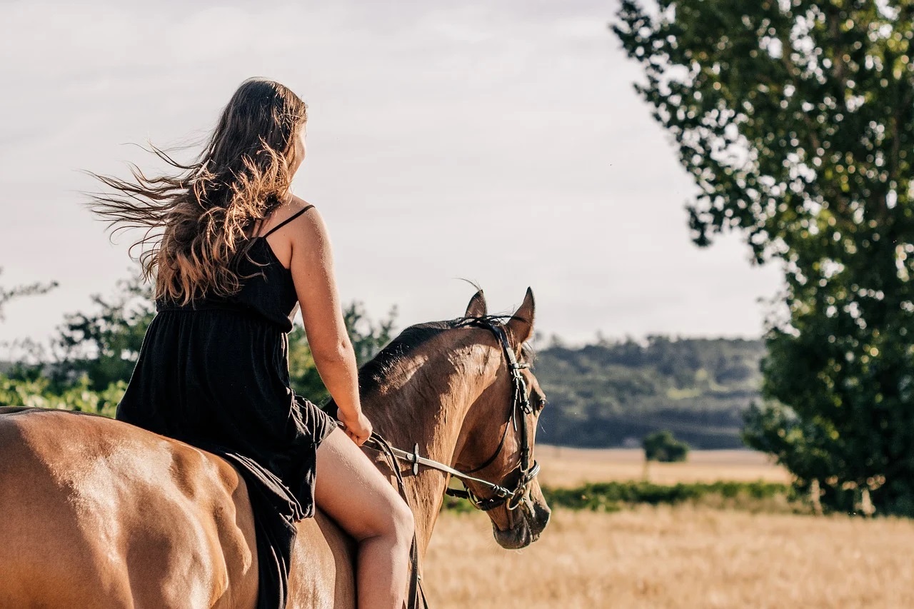 Bien s'équiper pour la randonnée équestre