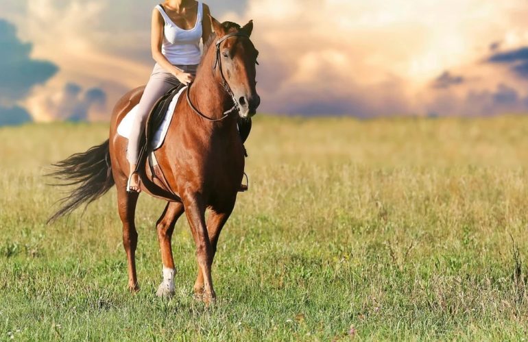 Pourquoi partir à cheval en randonnée ?